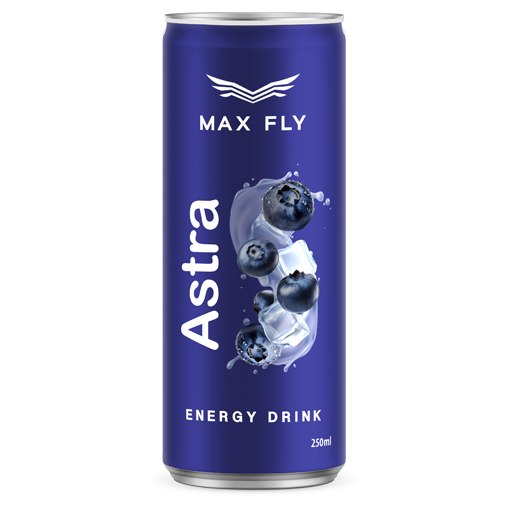 Max Fly Astra Enerji İçeceği 250ml